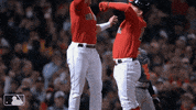 Boston Red Sox Sport GIF by MLB