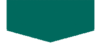 Green Sticker by CANNA Official