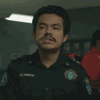 Humor Reaction GIF by Porta Dos Fundos