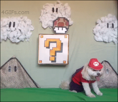 Super Mario Dog GIF