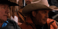 yellowstone GIF
