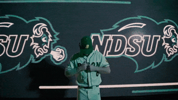 Ndsu Baseball GIF by NDSU Athletics