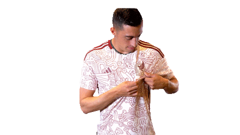 World Cup Mexico Sticker by MiSelecciónMX