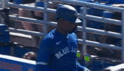 Blue Jays Good Job GIF by Toronto Blue Jays