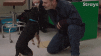 Dog Sounds