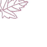 oithaism new flower trip days Sticker