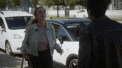 Demet Evgar Bahar GIF by Show TV