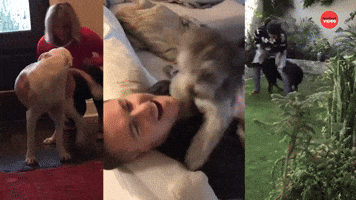 Man's Best Friend