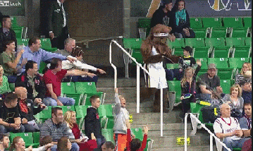 angry bear GIF