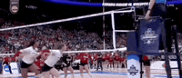 Volleyball Wisconsin GIF by NCAA Championships