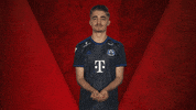 Fifa Hamburg GIF by Bundesliga