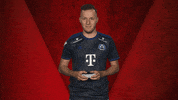 Fifa Hamburg GIF by Bundesliga