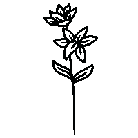 May Flower Sticker