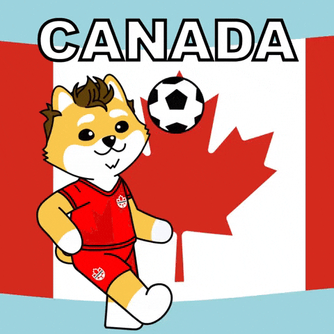 World Cup Football GIF by Dogelon Mars