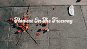 Flower Cheers GIF by Cody Lovaas