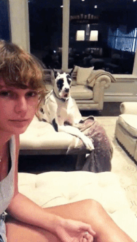 taylor swift GIF