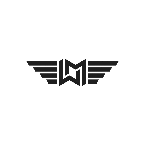 WingmanDiscs giphyupload disc golf discgolf wingman Sticker