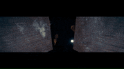 Torch Frightfest GIF by Signature Entertainment
