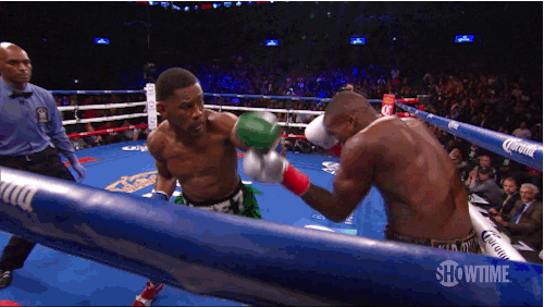 daniel jacobs boxing GIF by SHOWTIME Sports