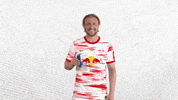 Red Bull Smile GIF by RB Leipzig