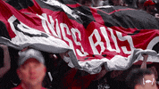 Eric Musselman Hogs GIF by Arkansas Razorbacks