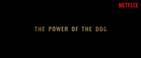 The Power Of The Dog