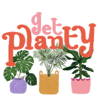 Palm Tree Plant Sticker