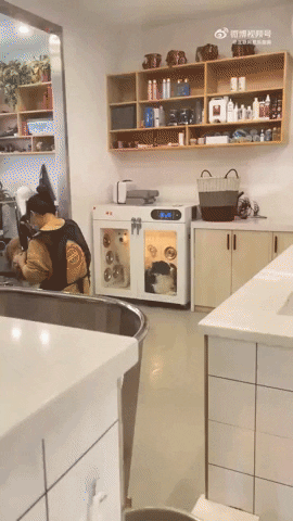 cuteanimalland giphyupload GIF