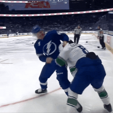 Fight Nhl GIF