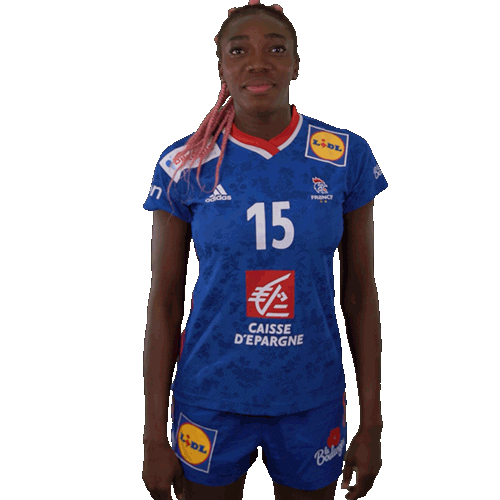 Ffhandball Sticker by Fédération Française de Handball