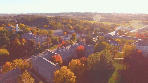 New England College GIF by Middlebury