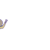 sprigwizard slow snail slowdown sprigwizard Sticker