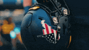 West Virginia Sport GIF by WVU Sports