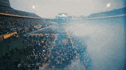 West Virginia Sport GIF by WVU Sports