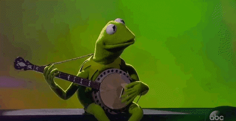 Season 16 Kermit GIF by American Idol