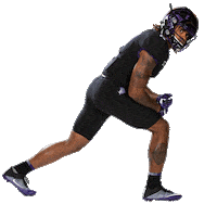 texas austin Sticker by TCU Football