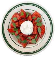 Cheese Mozzarella Sticker by Major Food Group