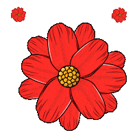 Reidosgifs Sticker by Evooluti