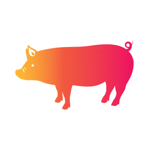 Pig Zodiac Sticker by diamondnplatinum