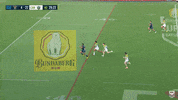 Josh Papalii Nrl GIF by Canberra Raiders