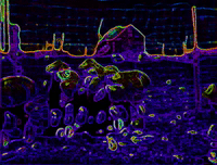 art colors GIF by MFD