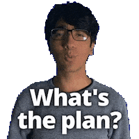 What Should We Do Whats Next Sticker