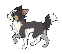 Chihuahua Hund Sticker