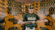Baseball Bison GIF by NDSU Athletics