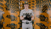 Baseball Bison GIF by NDSU Athletics