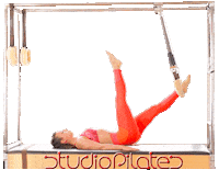 Sp Trapezetable Sticker by Studio Pilates