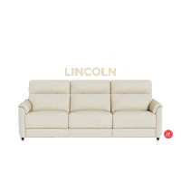 Lincoln Sticker by HomesToLife
