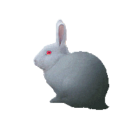 Alice In Wonderland Rabbit Sticker
