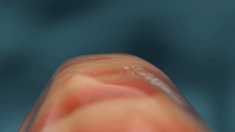 franciscosanchezcazeres giphyupload GIF