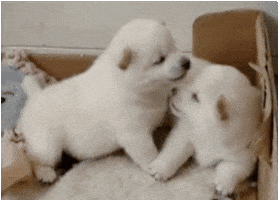kisses love GIF